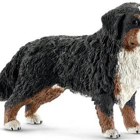 Schleich Bernese Dağ Köpeği