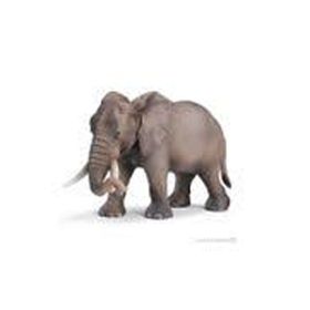 Schleich SCH-14761 Afrika Fili Dişi Hayvan Figür