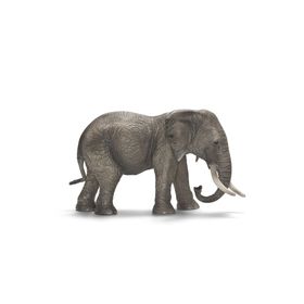 Schleich SCH-14761 Afrika Fili Dişi Hayvan Figür