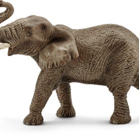 Schleich SCH-14762 Afrika Fili Erkek Hayvan Figür