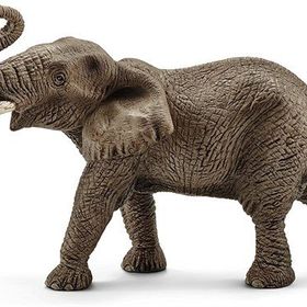 Schleich SCH-14762 Afrika Fili Erkek Hayvan Figür
