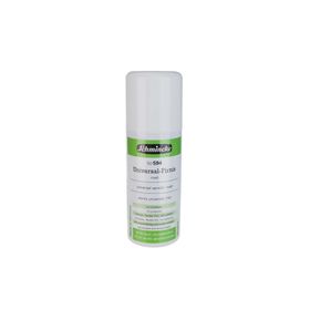 Schmincke 50594 150 ml Universal Varnish Genel Amaçlı Uv Korumalı Mat Final Sprey Vernik