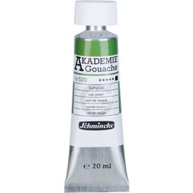 Schmincke Akademie 20 ml 520 Sap Green Guaj Boya