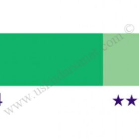 Schmincke Hks Designers' Gouache No:564 Cadmium Green 20 ml Tüp Guaj Boya