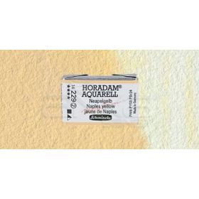 Schmincke Horadam Aquarell 1 1 Tablet 229 Naples Yellow Seri 2 Boya