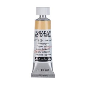 Schmincke Horadam Tüp Seri 2 No:229 Naples Yellow 15 ml Sulu Boya