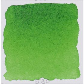 Schmincke Horadam Tüp Seri 2 No:530 Sap Green 15 ml Sulu Boya