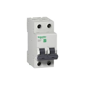 Schneider 2P 16A C 3KA Electric Easy9 Otomatik Sigorta