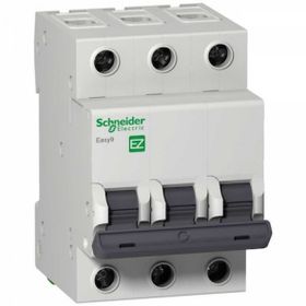 Schneider 2P 16A C 3KA Electric Easy9 Otomatik Sigorta