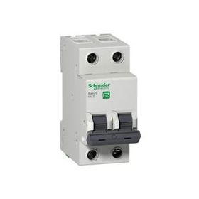 Schneider 2P 16A C 3KA Electric Easy9 Otomatik Sigorta