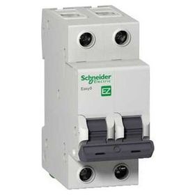 Schneider 2P 25A C 3KA Electric Easy9 Otomatik Sigorta