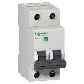 Schneider 2P 25A C 3KA Electric Easy9 Otomatik Sigorta
