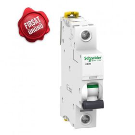 Schneider A9F73102 1K 6kA B 1x2A Otomatik Sigorta