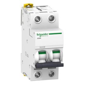 Schneider A9F74201 İC60N 2P 1 C Tipi Minyatür Otomatik Sigorta
