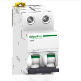 Schneider A9F75203 İC60N 2P 3 D Tipi Minyatür Otomatik Sigorta