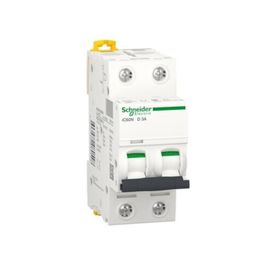 Schneider A9F75203 İC60N 2P 3 D Tipi Minyatür Otomatik Sigorta