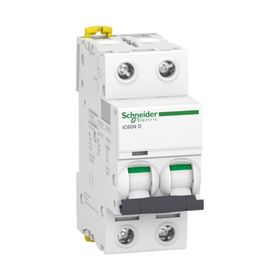 Schneider A9F75225 İC60N 2P 25 D Tipi Minyatür Otomatik Sigorta