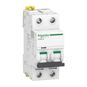 Schneider A9F75225 İC60N 2P 25 D Tipi Minyatür Otomatik Sigorta