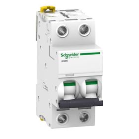 Schneider A9F75240 İC60N 2P 40 D Tipi Minyatür Otomatik Sigorta