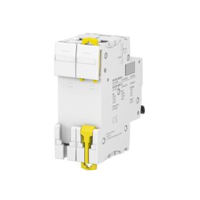 Schneider A9F75240 İC60N 2P 40 D Tipi Minyatür Otomatik Sigorta