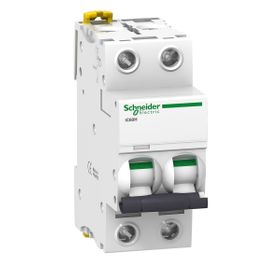 Schneider A9F84270 İC60H 2P 0,5 C Tipi Minyatür Otomatik Sigorta