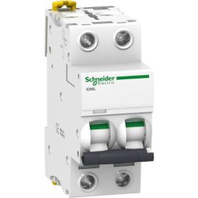 Schneider A9F94232 İC60L 2P 32 C Tipi Minyatür Otomatik Sigorta