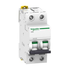 Schneider A9F95240 İC60L 2P 40 K Tipi Minyatür Otomatik Sigorta