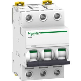 Schneider A9F95363 İC60L 3P 63 K Tipi Minyatür Otomatik Sigorta