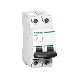Schneider A9N61521 C60H 2 Kutup 1 A C Tipi Minyatür Otomatik Sigorta