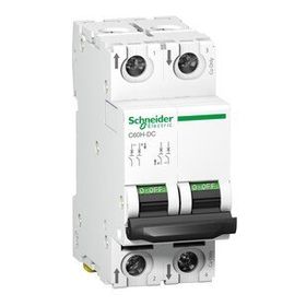 Schneider A9N61522 C60H 2P 2 A C Tipi Minyatür Otomatik Sigorta