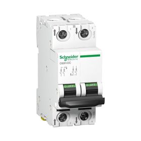 Schneider A9N61522 C60H 2P 2 A C Tipi Minyatür Otomatik Sigorta