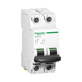 Schneider A9N61531 C60H 2P 16 A C Tipi Minyatür Otomatik Sigorta