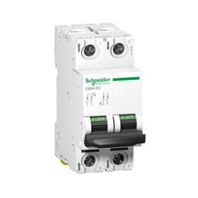 Schneider A9N61532 C60H 2 Kutup 20 A C Tipi Minyatür Otomatik Sigorta
