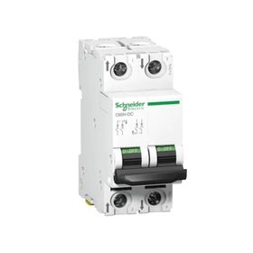 Schneider A9N61535 C60H 2 Kutup 32 A C Tipi Minyatür Otomatik Sigorta