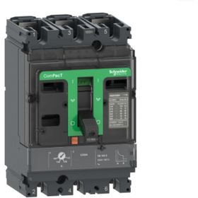 Schneider C10F3TM063 NSX100F TM63D 36kA Şalter