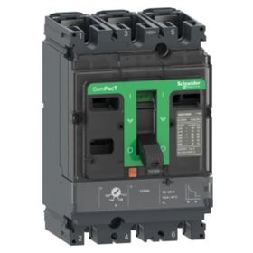 Schneider C16F3TM160 NSX160F TM160D 36kA Şalter