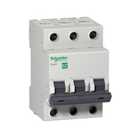 Schneider Electric Easy9 3 kA C Eğrisi 1 Kutup 32A Otomatik Sig
