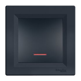 Schneider Electric EPH1500171 Asfora Plus Antrasit Işıklı Çerçeveli Vavien