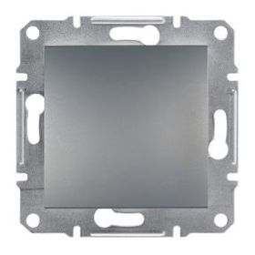 Schneider Electric Eph5600162 Asfora Çelik Kör Kapak