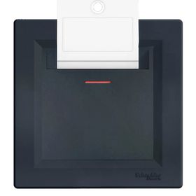 Schneider Electric EPH6200171 Asfora Plus Antrasit Mekanik Çerçeveli Energy Saver