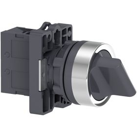 Schneider Electric XA2ED21 XA2 Mandal Buton