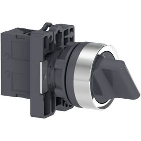 Schneider Electric XA2ED21 XA2 Mandal Buton