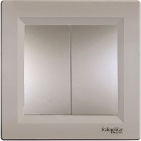 Schneider EPH0300169 Asfora Bronz Çerçevesiz Komütatör