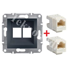 Schneider EPH4800171 Antrasit Asfora 2 Çıkışlı Data Prizi