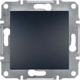 Schneider EPH5600171 Asfora Plus Antrasit Çerçevesiz Kör Kapak