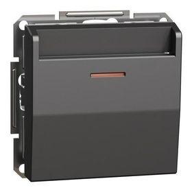 Schneider EPH6200171 Asfora Plus Antrasit Çerçevesiz Vidasız Mekanik Energy Saver