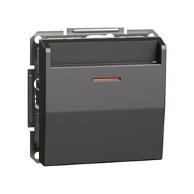 Schneider EPH6200171 Asfora Plus Antrasit Çerçevesiz Vidasız Mekanik Energy Saver