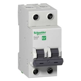 Schneider EZ9F34240 EASY9 2P 40A 4.5KA C Tipi Otomatik Sigorta