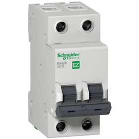 Schneider EZ9F34250 EASY9 2P 50A 4.5kA C Tipi Otomatik Sigorta