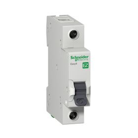 Schneider EZ9F43104 Easy9 Serisi 1x4A C Tipi 3Ka Otomatik Sigorta
